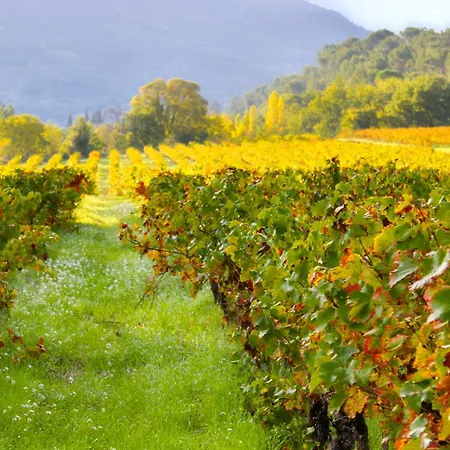 Maison De Charme A Au Milieu Des Vignes Nyons